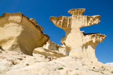 erosion on sandstone on Bolnuevo beach, Mazarron, Murcia, Spain clipart