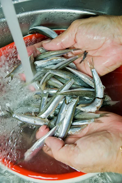 Peixe vendedor limpeza peixe — Fotografia de Stock