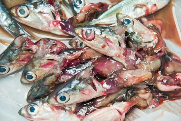 Peixe vendedor limpeza peixe — Fotografia de Stock