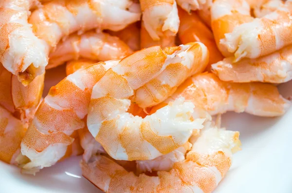 Crevettes — Photo