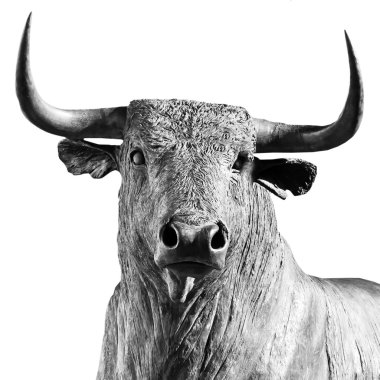 bull on white background clipart