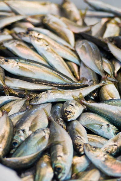 Peixe em um mercado — Fotografia de Stock