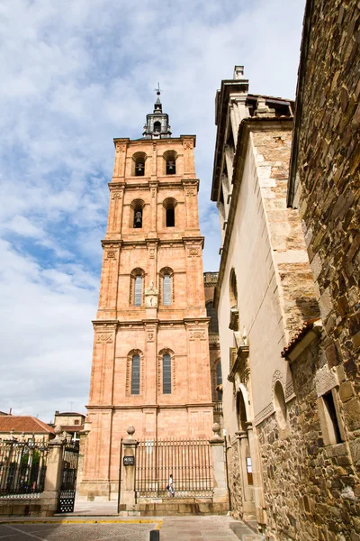 Saint mary cathedal van astorga. Spanje — Stockfoto