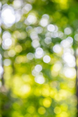 bokeh arka plan