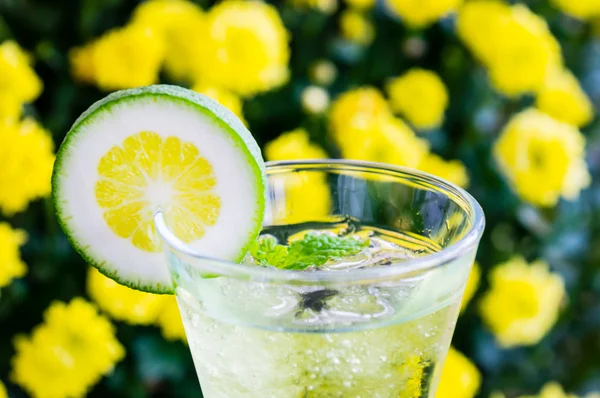 Yellow cocktail with a slice of lime — Stock Photo, Image