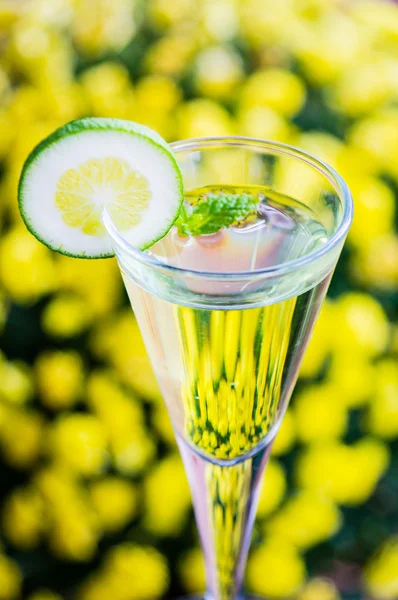 Yellow cocktail with a slice of lime — Stock Photo, Image
