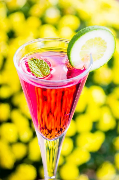 Cocktail rosso — Foto Stock