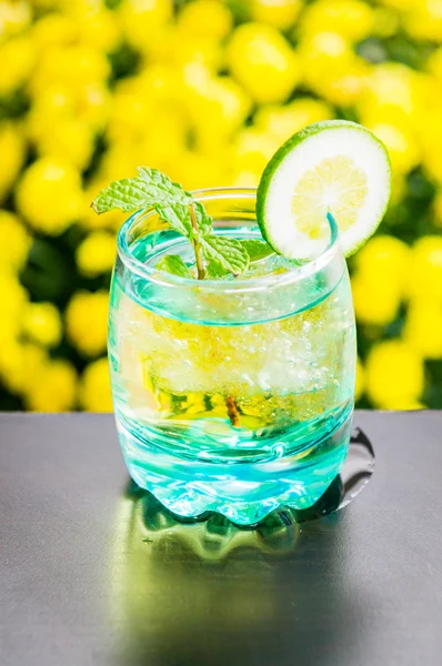 Mojito cocktail — Stockfoto