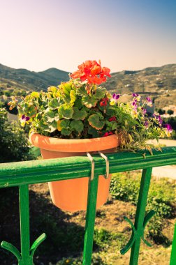 Canillas de albaida İspanya, geleneksel beyaz şehir