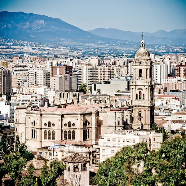 Malaga-katedralen — Stockfoto