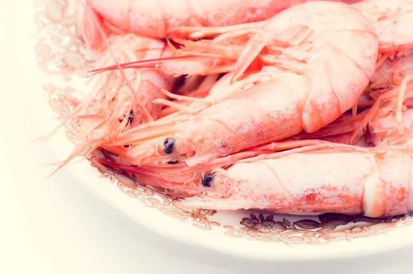 Crevettes grillées — Photo