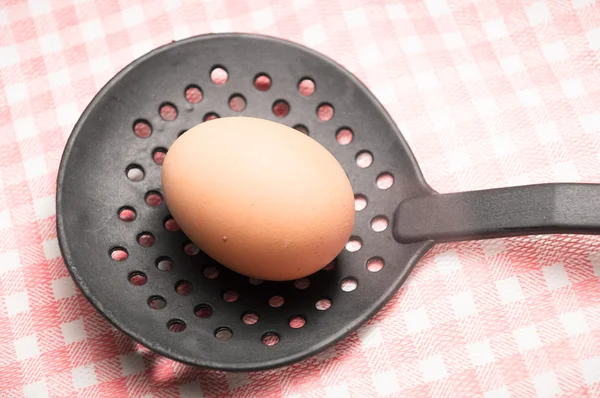 Egy tojás ollóscsőrű — Stock Fotó