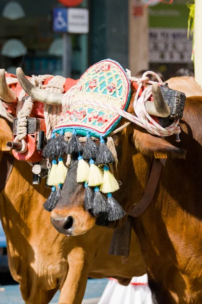 TORREMOLINOS, ESPANHA - SETEMBRO 23: Peregrinos participam da Romeria tradicional — Fotografia de Stock