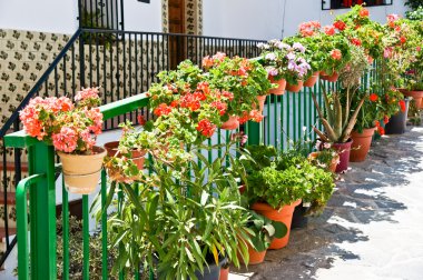 Canillas de albaida, malaga, İspanya