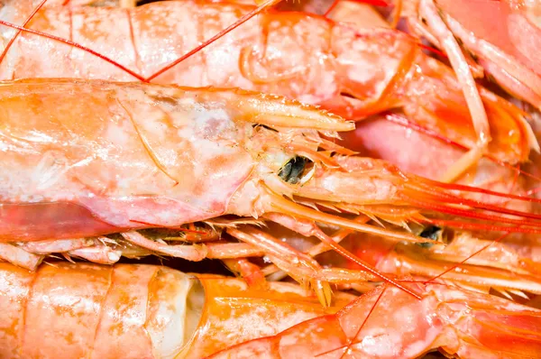 Grilled shrimp — Stock Photo, Image