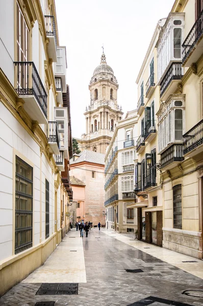 MALAGA, SPAIN - FEBRUARY 08: tourists walk near cathedral on Feb — Stock Photo, Image