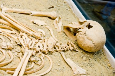 archeology, human bones clipart