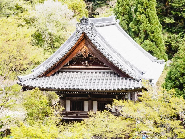 Japonya 'daki Miyajima şehri.