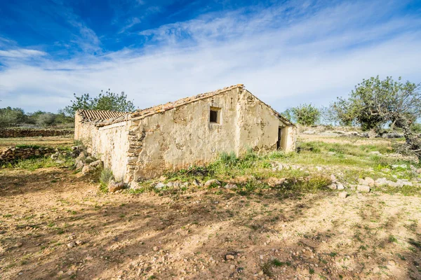 Thaged Casa Abandonada Situada Cerca Los Árboles —  Fotos de Stock