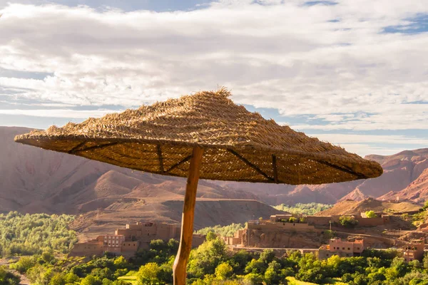 Umbrella Dessert Morocco — Stockfoto