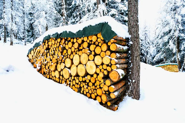 Куча Организованных Дров Снегу Зимнем Лесу Альп — стоковое фото