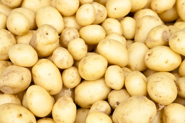 New Potatoes — Stock Photo, Image