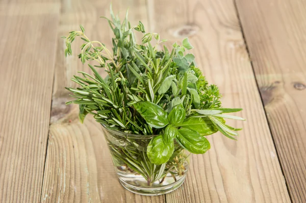 Hierbas frescas en un vaso — Foto de Stock