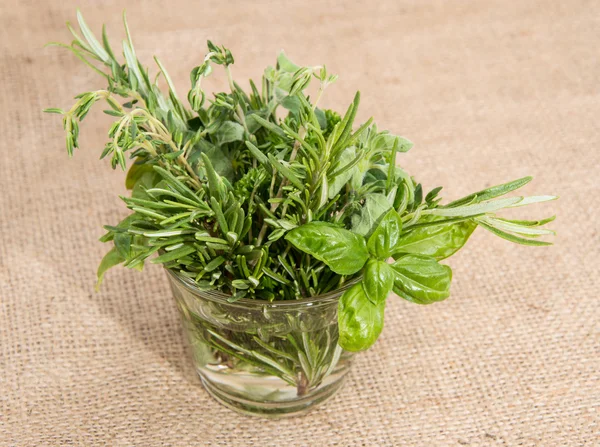 Glass filled with fresh Herbs — Stock Photo, Image