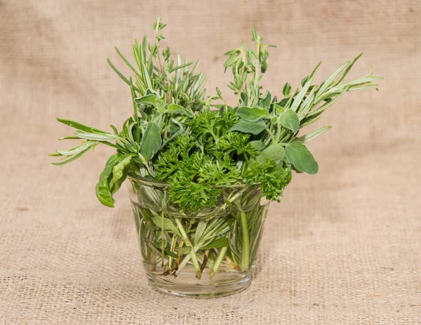 Szklane wypełnione świeżymi ziołami — Zdjęcie stockowe