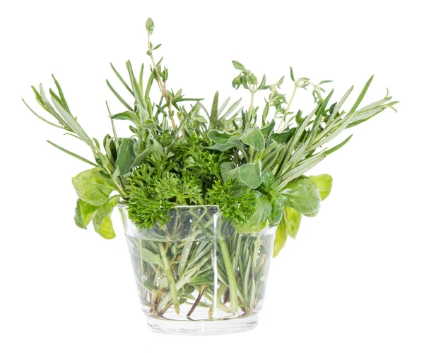 Small glass with different Herbs — Stock Photo, Image