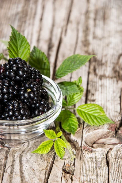 Small bowl with Blackberries — Stock Photo, Image