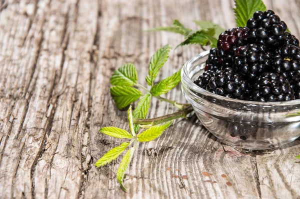 Blackberries in a small bowl — Stock Photo, Image