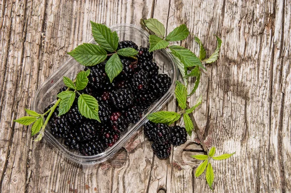 Plastikbox mit frischen Brombeeren — Stockfoto