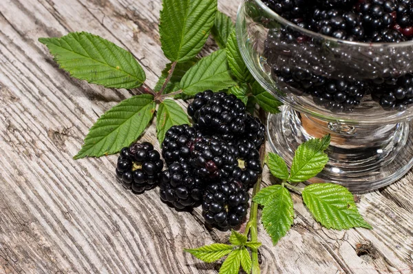 Schüssel mit frischen Brombeeren — Stockfoto