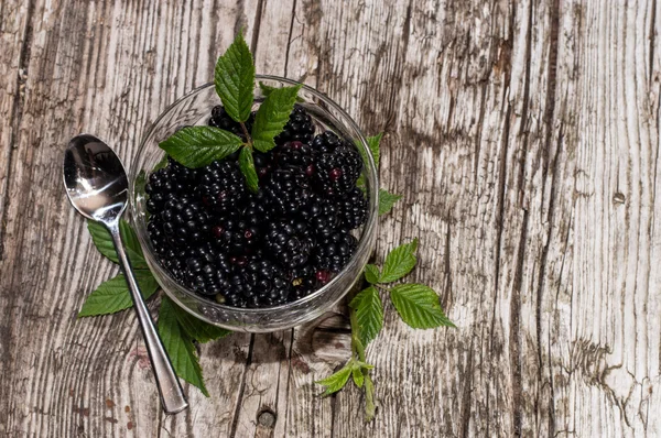 Schüssel mit frischen Brombeeren — Stockfoto