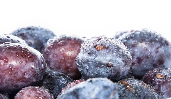 Heap of Plums with water drops on white — Stock Photo, Image