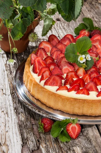 Gâteau aux fraises frais cuit au four — Photo