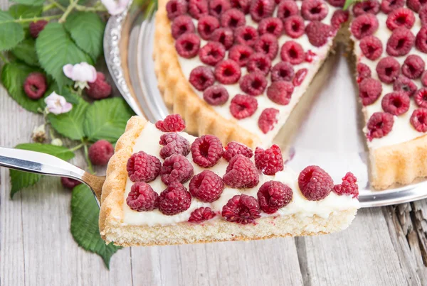 Levantador de pasteles con tarta de frambuesa — Foto de Stock