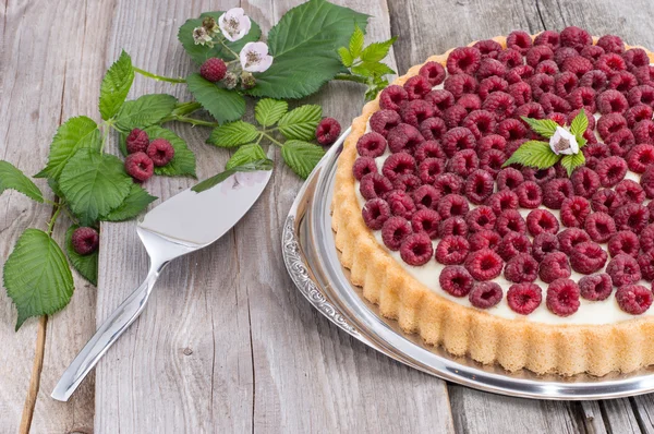 Fresh baked Raspberry Tart — Stock Photo, Image