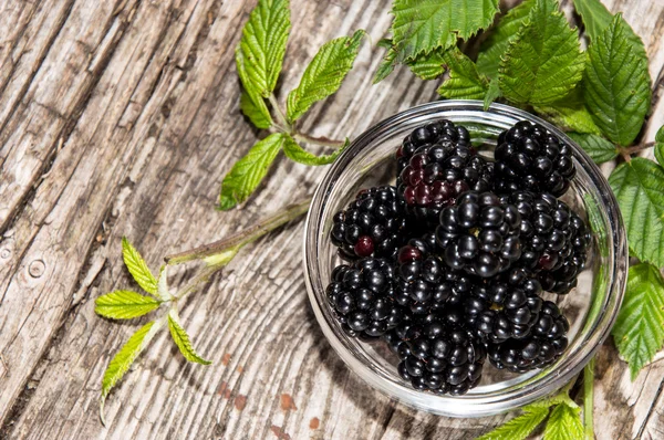 Small bowl with Blackberries — Stock Photo, Image