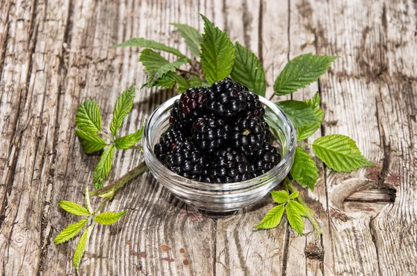 Blackberries in a small bowl — Stock Photo, Image