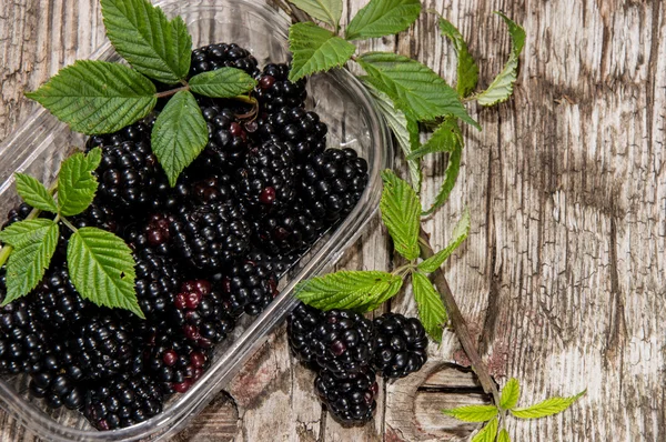 Plastikbox mit frischen Brombeeren — Stockfoto