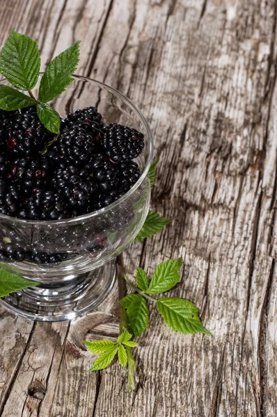 Schüssel mit frischen Brombeeren — Stockfoto