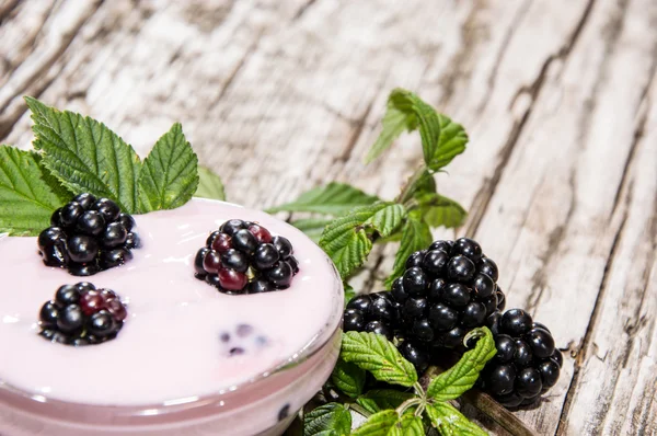 Blackberry Yogurt in a small bowl — Stock Photo, Image