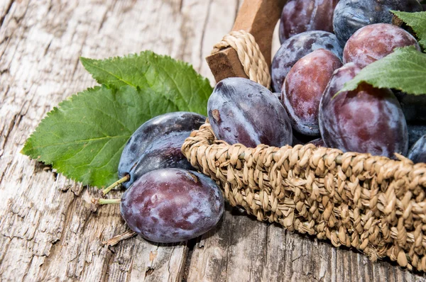 Basket filled with fresh Plums — Stock Photo, Image