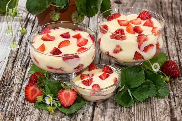 Schalen mit Vanillepudding und Früchten — Stockfoto