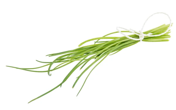 Beyaz izole chives — Stok fotoğraf