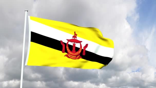 Flagge von Brunei — Stockvideo