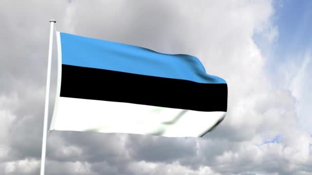 爱沙尼亚的旗子 — 图库视频影像