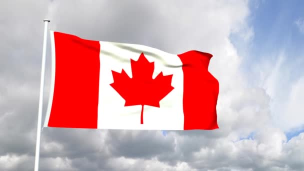 Flagge von Kanada — Stockvideo